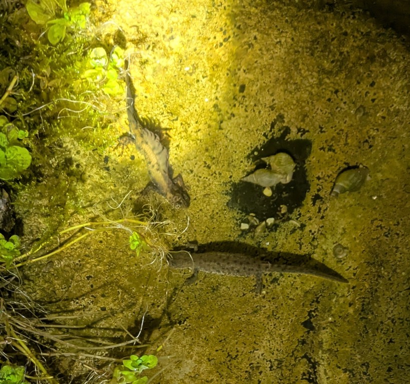 PXL 20260211 194627039