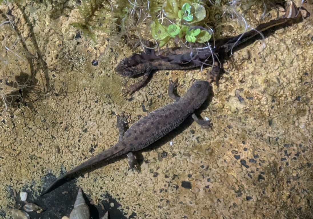 PXL 20260211 194701701